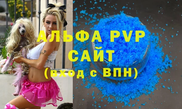 индика Новокубанск