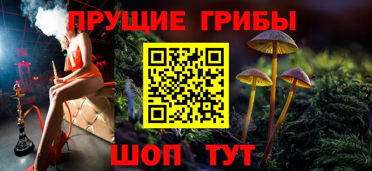 Скопин  Псилоцибиновые грибы мицелий  Вход с VPN 