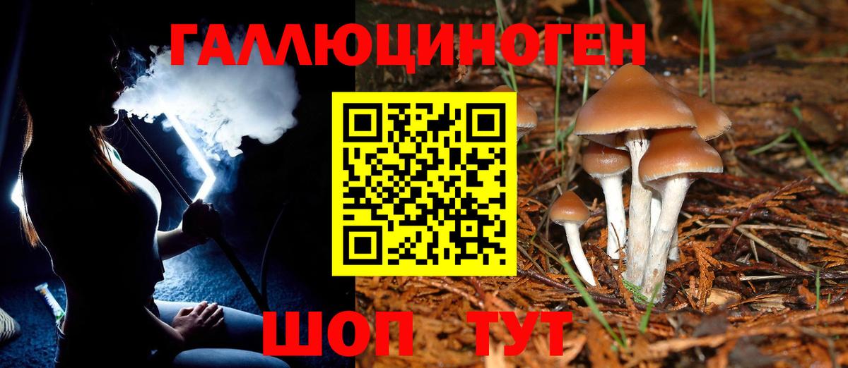 Псилоцибиновые грибы мицелий  Скопин 