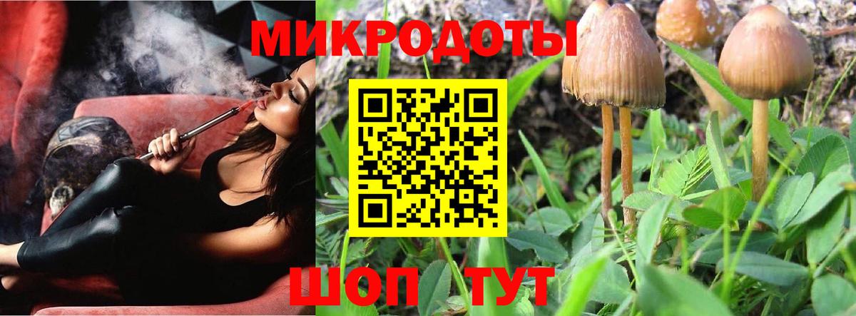 Псилоцибиновые грибы GOLDEN TEACHER Скопин