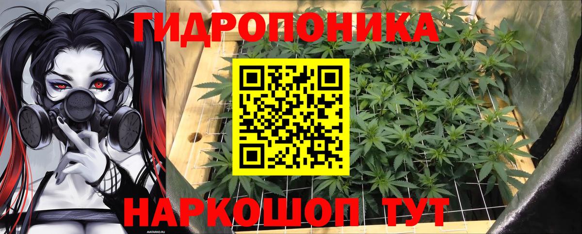 Шишки марихуана марихуана  Бошки Шишки планчик  Бошки Шишки индика  Скопин  Канабис AK-47  Вход с VPN 